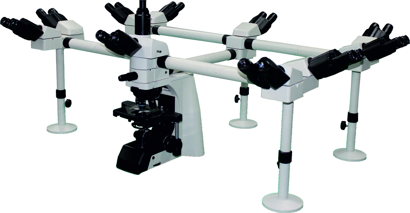 X-10 DECAHEAD MICROSCOPE