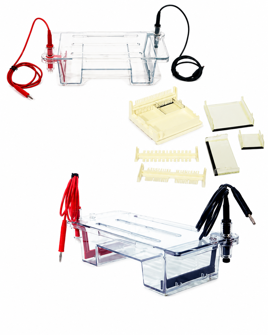 **GRUN MIDI Plus – GRUN50H – Horizontal Immersed Gel Electrophoresis Unit**