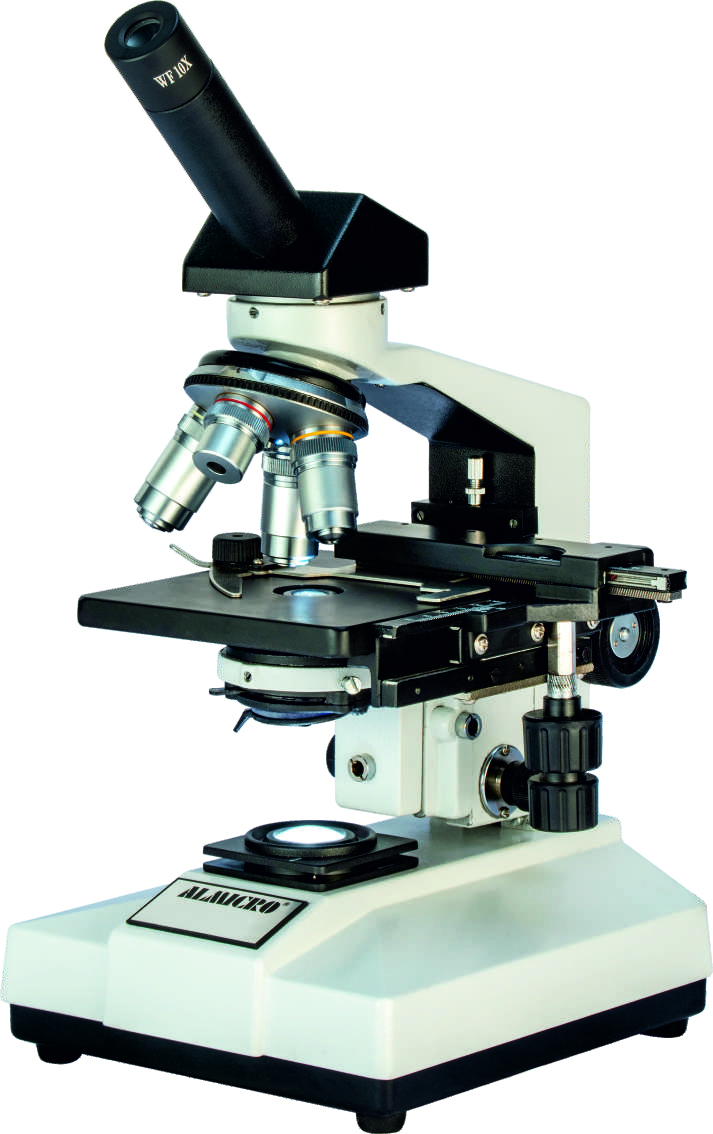 BM-6mo PATHOLOGICAL MONOCULAR