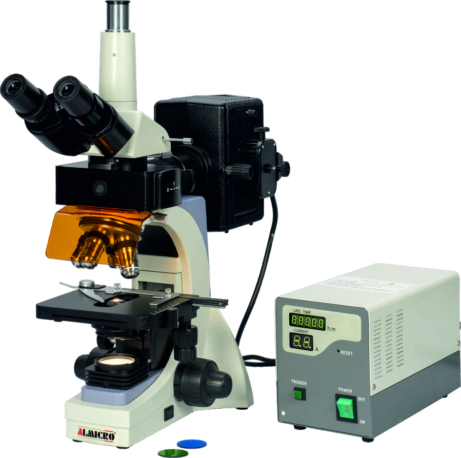 AFM-100 FLUORESCENT  MICROSCOPE